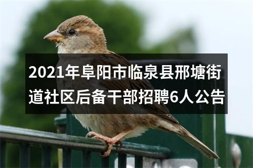 2021年阜阳市临泉县邢塘街道社区后备干部招聘6人公告 图片