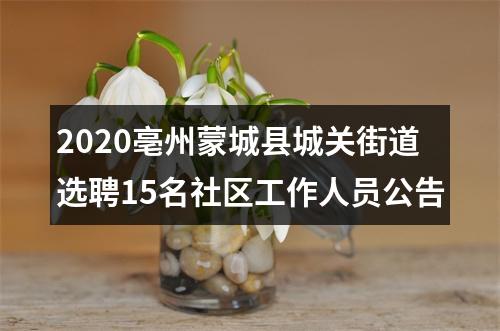 2020亳州蒙城县城关街道选聘15名社区工作人员公告 图片