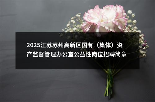 2025江苏苏州高新区国有（集体）资产监督管理办公室公益性岗位招聘简章                进入阅读模式 图片