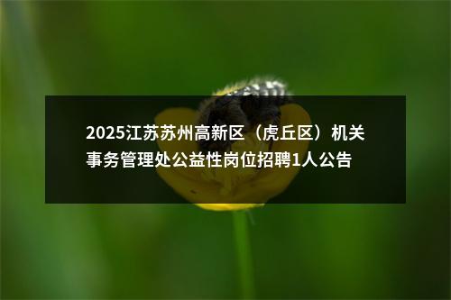 2025江苏苏州高新区（虎丘区）机关事务管理处公益性岗位招聘1人公告                进入阅读模式 图片