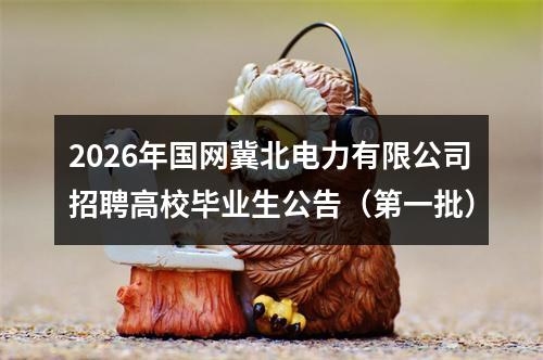 2026年国网冀北电力有限公司招聘高校毕业生公告（第一批） 图片