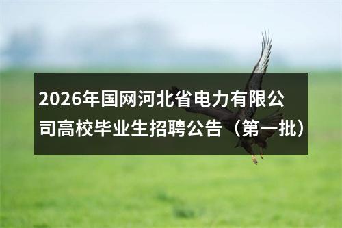 2026年国网河北省电力有限公司高校毕业生招聘公告（第一批） 图片