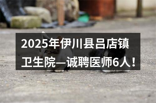 2025年伊川县吕店镇卫生院—诚聘医师6人！ 图片