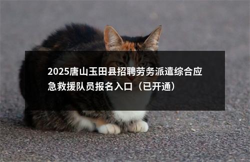 2025秦皇岛山海关区公开选聘社区工作者面试成绩公布 图片