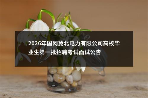 2026年国网冀北电力有限公司高校毕业生第一批招聘考试面试公告 图片