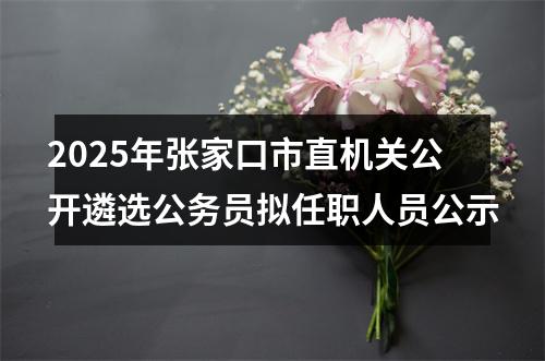 2025年张家口市直机关公开遴选公务员拟任职人员公示 图片