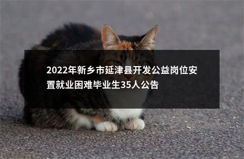 2026年河北保定市第十七中学招聘全额事业编教师10名公告 图片