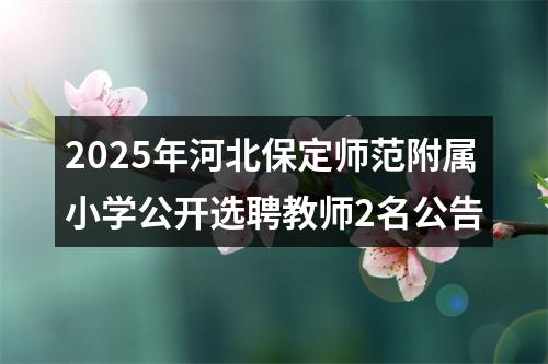 2025年河北保定师范附属小学公开选聘教师2名公告 图片