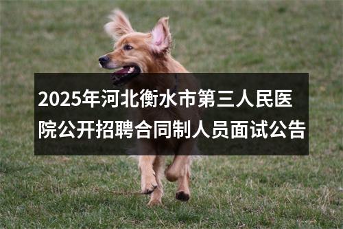 2025年河北衡水市第三人民医院公开招聘合同制人员面试公告 图片