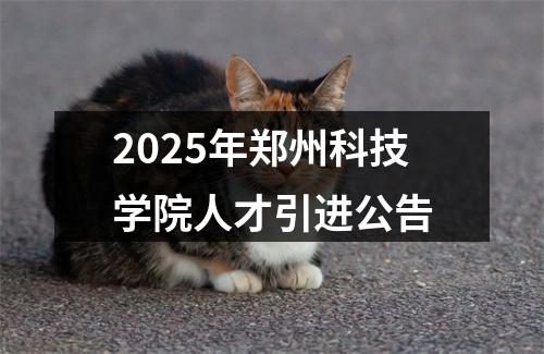 2025年郑州科技学院人才引进公告 图片