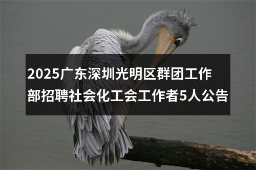 2025广东深圳光明区群团工作部招聘社会化工会工作者5人公告 图片