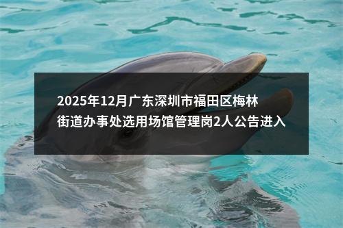 2025年12月广东深圳市福田区梅林街道办事处选用场馆管理岗2人公告进入阅读模式 图片