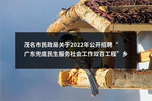 茂名市民政局关于2022年公开招聘“广东兜底民生服务社会工作双百工程”乡镇(街道)社会工作服务站社工面试工作的公告 图片