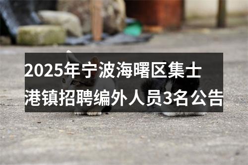 2025年宁波海曙区集士港镇招聘编外人员3名公告 图片