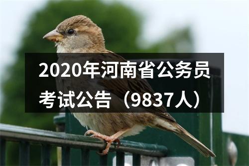 2020年河南省公务员考试公告（9837人） 图片