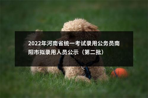 2022年河南省统一考试录用公务员南阳市拟录用人员公示（第二批） 图片