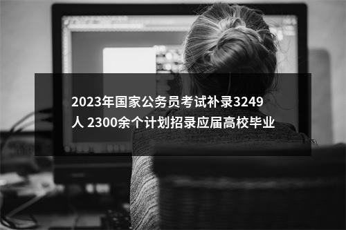 2023年国家公务员考试补录3249人 2300余个计划招录应届高校毕业生 图片