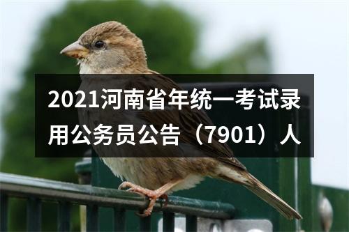 2021河南省年统一考试录用公务员公告（7901）人 图片