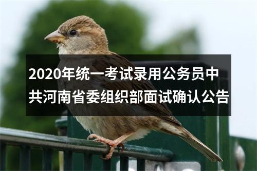 2020年统一考试录用公务员中共河南省委组织部面试确认公告 图片
