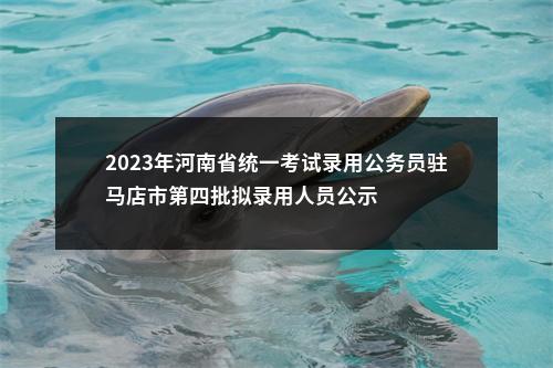 2023年河南省统一考试录用公务员驻马店市第四批拟录用人员公示 图片