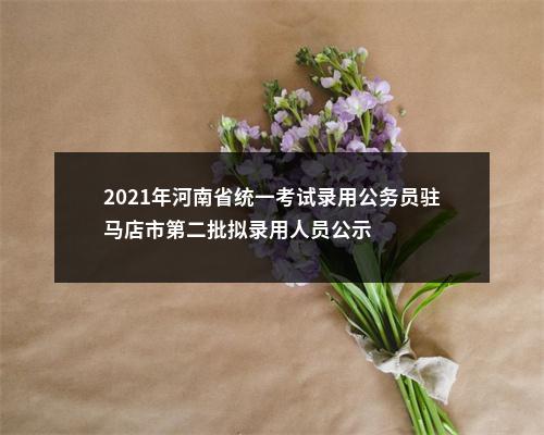 2021年河南省统一考试录用公务员驻马店市第二批拟录用人员公示 图片
