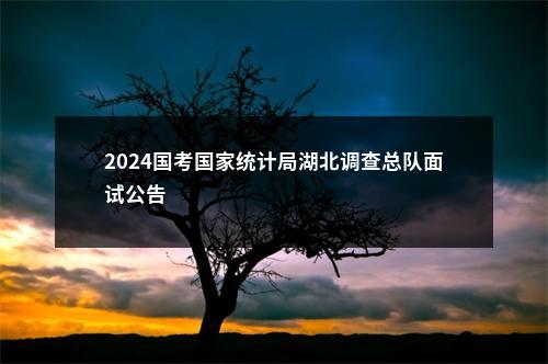 2024国考国家统计局湖北调查总队面试公告                进入阅读模式 图片