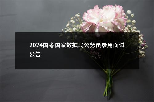 2024国考国家数据局公务员录用面试公告                进入阅读模式 图片