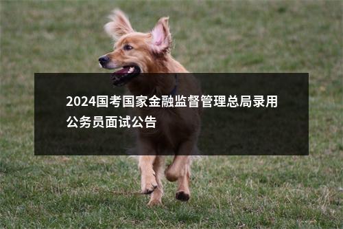 2024国考国家金融监督管理总局录用公务员面试公告                进入阅读模式 图片