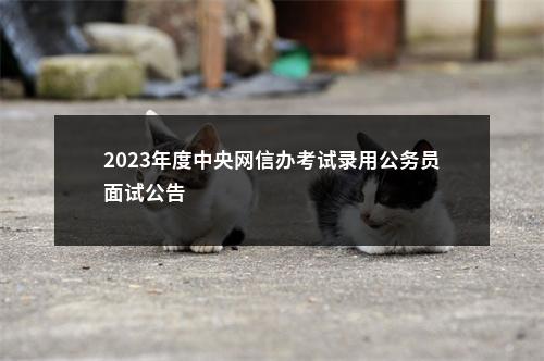 2023年度中央网信办考试录用公务员面试公告                进入阅读模式 图片
