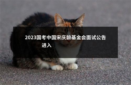 2023国考中国宋庆龄基金会面试公告                进入阅读模式 图片