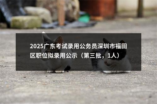 2025广东考试录用公务员深圳市福田区职位拟录用公示（第三批，1人） 图片