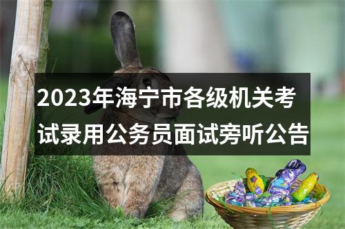 2023年海宁市各级机关考试录用公务员面试旁听公告 图片