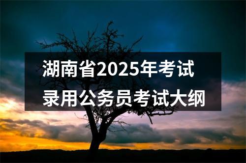 湖南省2025年考试录用公务员考试大纲 图片
