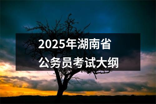 2025年湖南省公务员考试大纲 图片