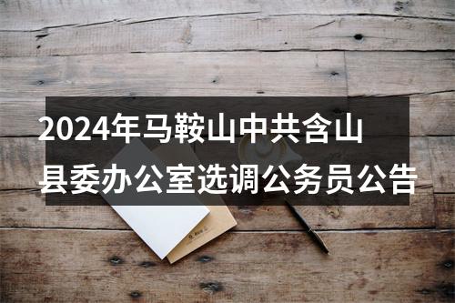 2024年马鞍山中共含山县委办公室选调公务员公告 图片