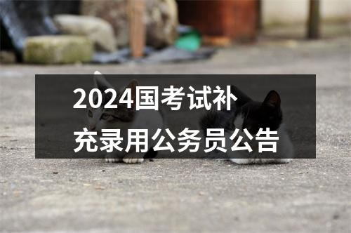 2024国考试补充录用公务员公告 图片