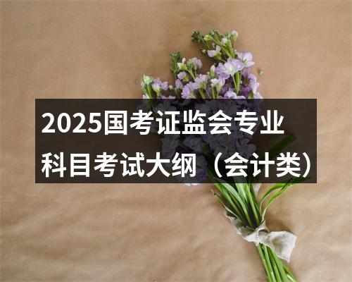 2025国考证监会专业科目考试大纲（会计类） 图片
