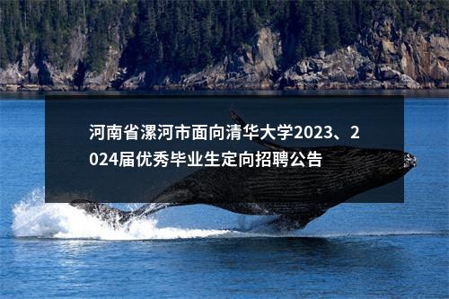 河南省漯河市面向清华大学2023、2024届优秀毕业生定向招聘公告 图片