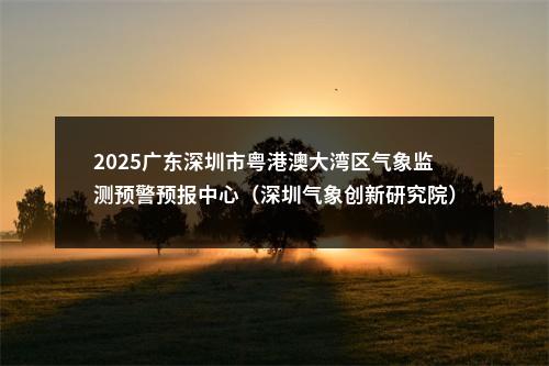2025广东深圳市粤港澳大湾区气象监测预警预报中心（深圳气象创新研究院）商务岗、气象服务岗、财务岗位招聘公告 图片