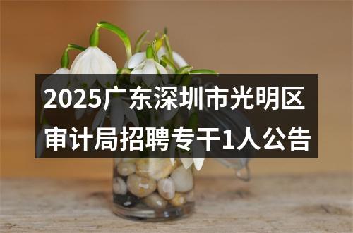 2025广东深圳市光明区审计局招聘专干1人公告 图片