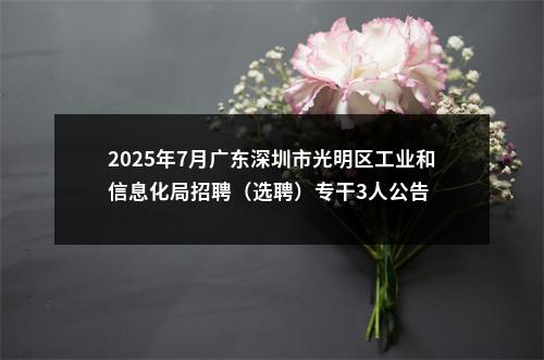 2025年7月广东深圳市光明区工业和信息化局招聘（选聘）专干3人公告 图片