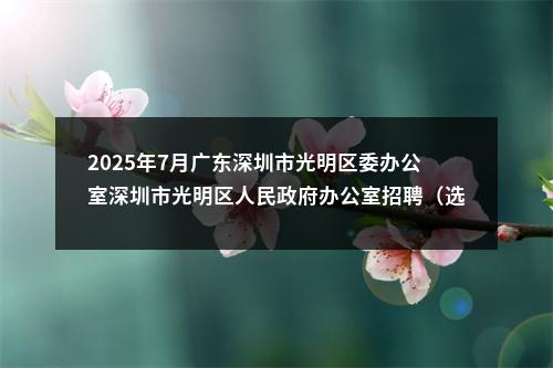 2025年7月广东深圳市光明区委办公室深圳市光明区人民政府办公室招聘（选聘）专干4人公告 图片