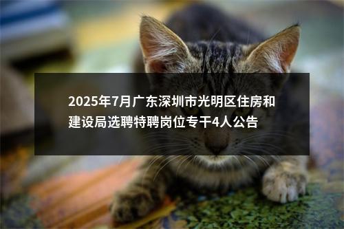 2025年7月广东深圳市光明区住房和建设局选聘特聘岗位专干4人公告 图片