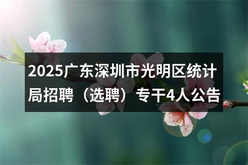 2025广东深圳市光明区统计局招聘（选聘）专干4人公告 图片