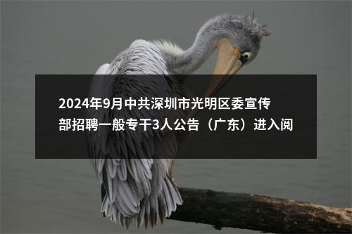 2024年9月中共深圳市光明区委宣传部招聘一般专干3人公告（广东）进入阅读模式 图片