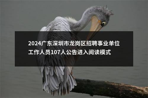 2024广东深圳市龙岗区招聘事业单位工作人员107人公告进入阅读模式 图片
