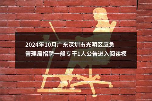 2024年10月广东深圳市光明区应急管理局招聘一般专干1人公告进入阅读模式 图片