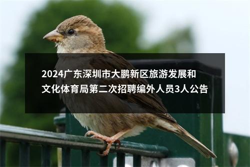 2024广东深圳市大鹏新区旅游发展和文化体育局第二次招聘编外人员3人公告进入阅读模式 图片