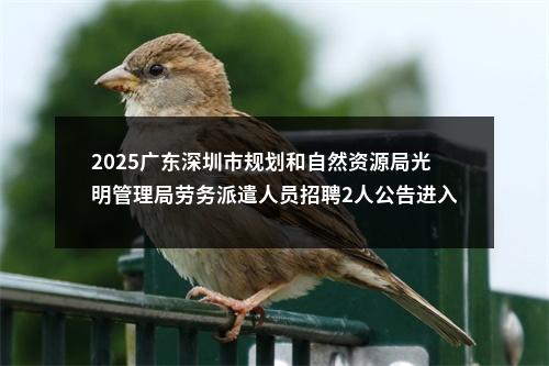 2025广东深圳市规划和自然资源局光明管理局劳务派遣人员招聘2人公告进入阅读模式 图片