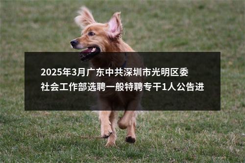 2025年3月广东中共深圳市光明区委社会工作部选聘一般特聘专干1人公告进入阅读模式 图片